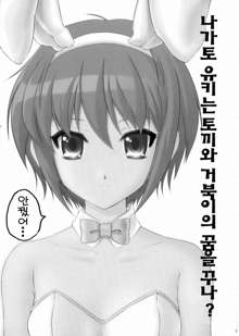 Nagato Yuki wa Usagi to Kame no Yume o Miru ka?, 한국어