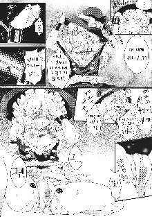 Marisa no Dokidoki Ascension, 한국어