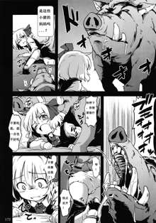 Rumia vs Buta, 中文