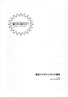 艦これの根これ, 日本語