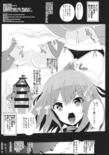 東方時姦8 茨木華扇, 日本語