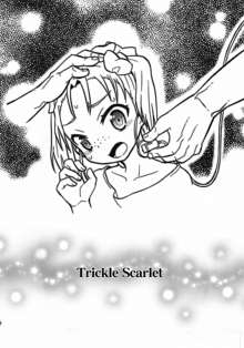 Trickle Scarlet, 한국어