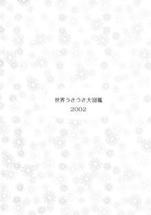 世界うきうき大図鑑2002, 日本語