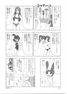 たれめパラダイス12, 日本語