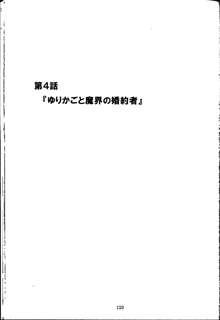 魔の色時代のダイアリー, 日本語