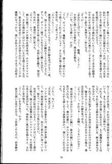 魔の色時代のダイアリー, 日本語