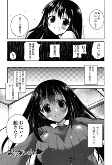 キスしてさわってもっとして, 日本語