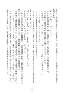 いじめっこ生徒会長にエッチなお返しをしませんか？, 日本語