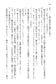 僕はお姉ちゃんと妹の性欲処理枕!, 日本語