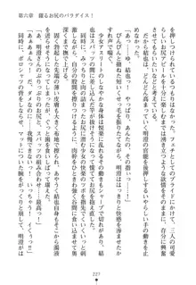 しりパラ さわって揉んでボクのもの!, 日本語