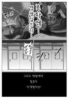 Tokubousentai Dinaranger ~Heroine Kairaku Sennou Keikaku~ Vol. 03, 한국어