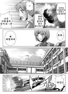 Tokubousentai Dinaranger ~Heroine Kairaku Sennou Keikaku~ Vol.04/05/06, 한국어