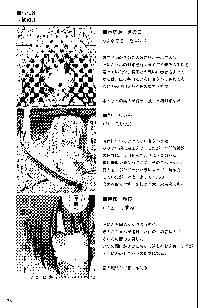 freeze氷結の巫女 -術印-, 日本語