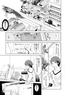 Midara no Kuni Ch.1-4, 日本語