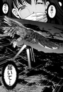 Midara no Kuni Ch.1-4, 日本語