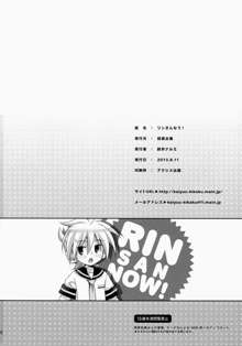 リンさんなう!, 日本語