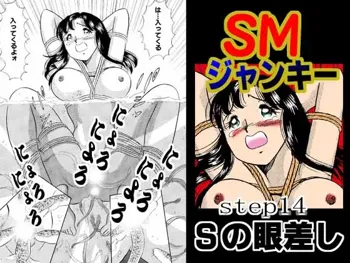 SMジャンキー・step14・Sの眼差し, 日本語