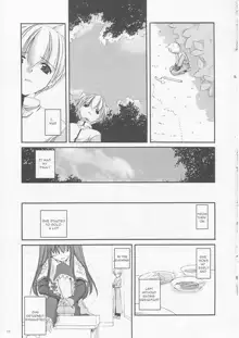 D.L. action 17, English