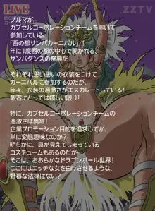 サンバdeドラゴンカーニバル, 日本語