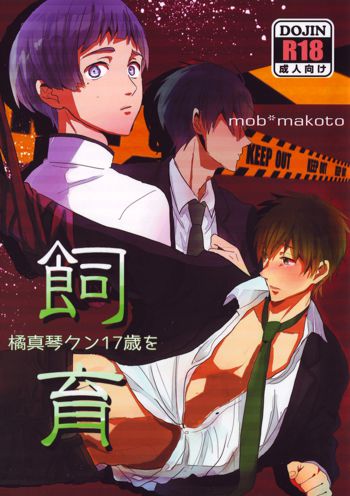 Makoto Tachibana-kun 17 sai o shiiku, 日本語