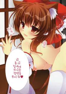 Neko na Reimu Hatsujou Chuu, 한국어