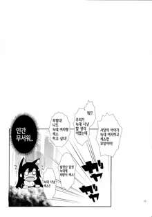 Hatsujou shimashita Kagerou-san!, 한국어