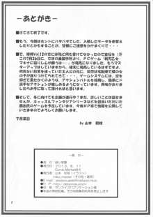 緋袴 Vol.12.5, 日本語