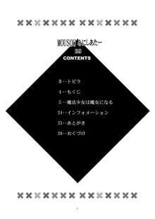 MOUSOUみにしあたー 29, 日本語