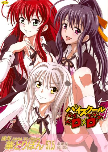 Seinen hana to ribon 57. 5 Paisukūru DxD, English