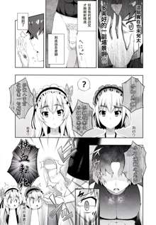 Usui hon no Chaika, 中文