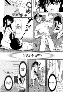 Shoujo no Kaikata Shitsukekata ~ Bishoujo Kankin Shiiku Nikki ~, 한국어