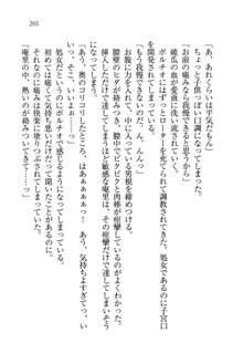 生徒会長姉妹を毒電波で堕としてみた, 日本語