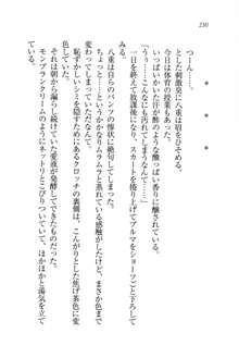 生徒会長姉妹を毒電波で堕としてみた, 日本語