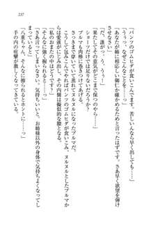 生徒会長姉妹を毒電波で堕としてみた, 日本語