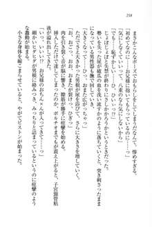 生徒会長姉妹を毒電波で堕としてみた, 日本語