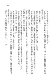 生徒会長姉妹を毒電波で堕としてみた, 日本語