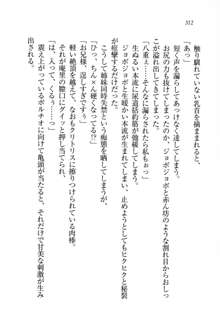 生徒会長姉妹を毒電波で堕としてみた, 日本語