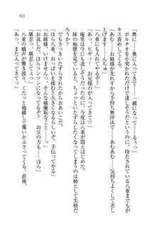 生徒会長姉妹を毒電波で堕としてみた, 日本語