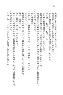 生徒会長姉妹を毒電波で堕としてみた, 日本語