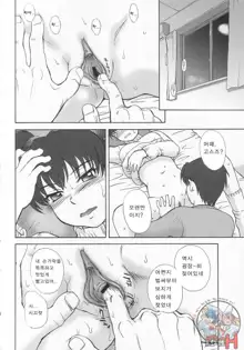 Mousou Diary ~ Advanced, 한국어