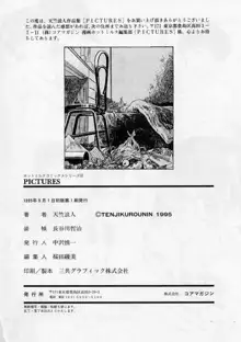 PICTURES, 日本語