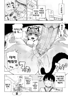 Daisuke-kun no Hijitsuzai Bishoujo, 한국어