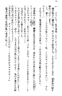 アスモデウス・オンライン -ファンタジー空間で兄は妹を孕ませる-, 日本語