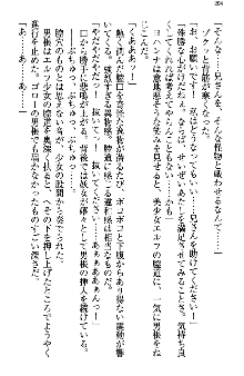 アスモデウス・オンライン -ファンタジー空間で兄は妹を孕ませる-, 日本語