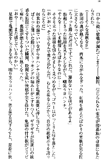 アスモデウス・オンライン -ファンタジー空間で兄は妹を孕ませる-, 日本語