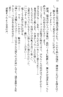 アスモデウス・オンライン -ファンタジー空間で兄は妹を孕ませる-, 日本語