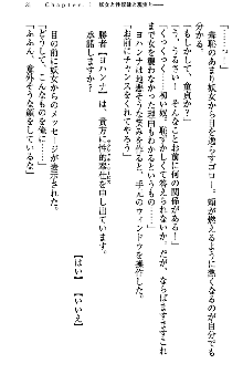 アスモデウス・オンライン -ファンタジー空間で兄は妹を孕ませる-, 日本語