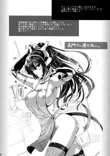 艦隊アナル奴隷, 日本語