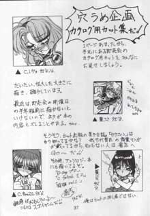 NN Magic Knight, 日本語