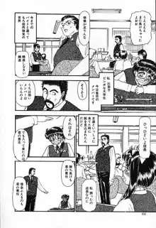 ひなちゃんのアルバイト日記, 日本語